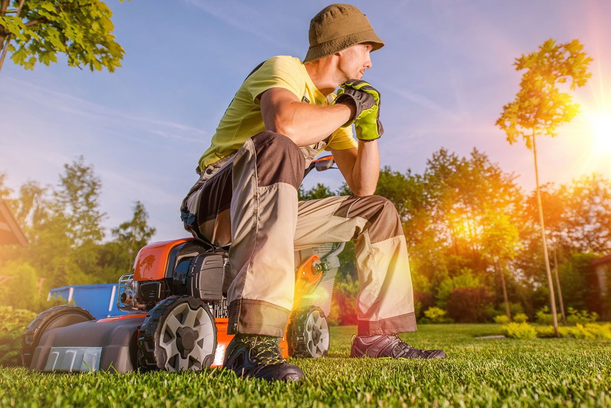 How to start a landscaping business