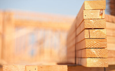 Everything You Never Knew About 2x4s: The Unsung Heroes of Construction